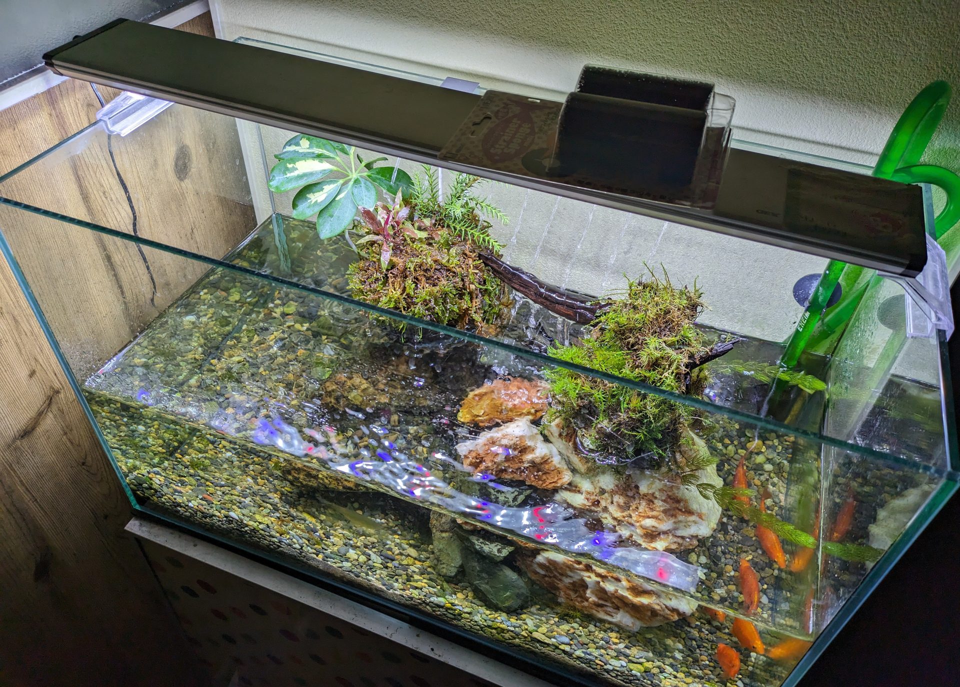 大自然 大型60 アクアテラリウム 完成品 水槽 画像追加60cm二段滝 大型アクアテラリウム 水槽 完成品